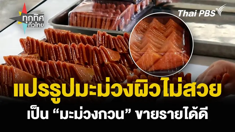แปรรูปมะม่วงผิวไม่สวย เป็น “มะม่วงกวน” ขายรายได้ดี
