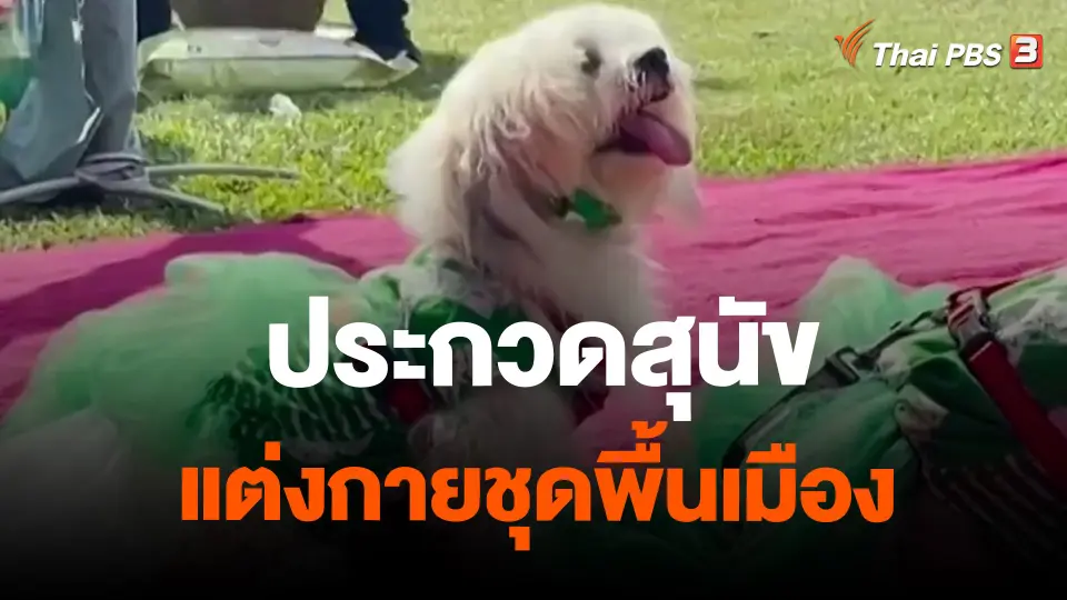ประกวดสุนัขแต่งกายชุดพื้นเมือง