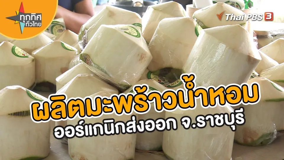 อาชีพทั่วไทย : ผลิตมะพร้าวน้ำหอมออร์แกนิกส่งออก จ.ราชบุรี