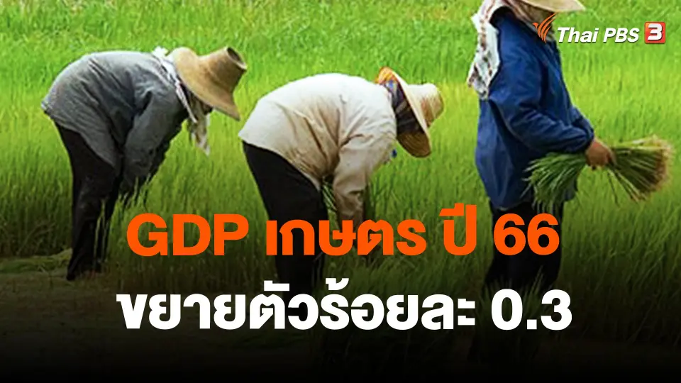 จับสัญญาณเศรษฐกิจ : จีดีพีเกษตร ปี 66 ขยายตัวร้อยละ 0.3