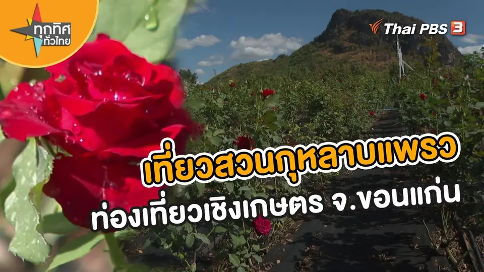 ​อาชีพทั่วไทย : เที่ยวสวนกุหลาบแพรวท่องเที่ยวเชิงเกษตร จ.ขอนแก่น