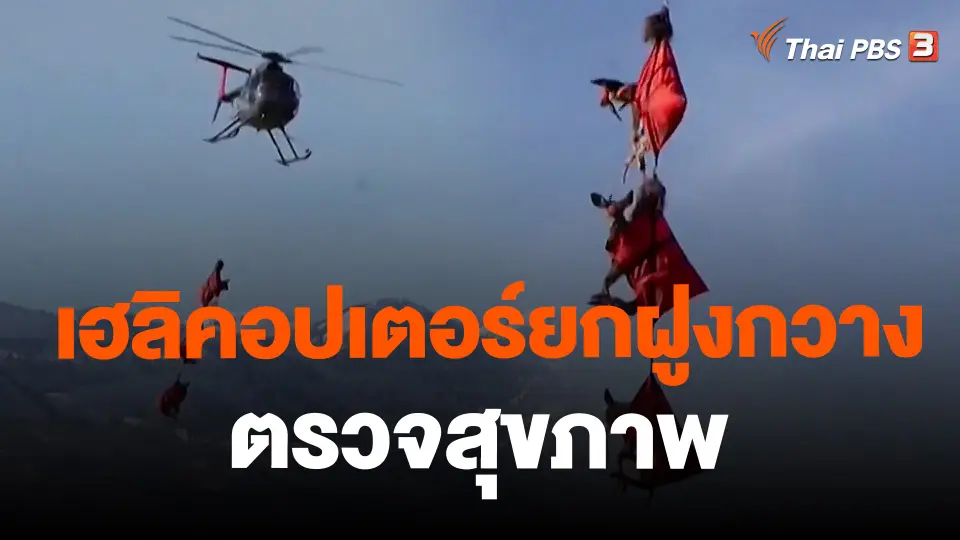 เฮลิคอปเตอร์ยกฝูงกวางตรวจสุขภาพ