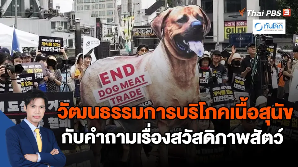 วัฒนธรรมการบริโภคเนื้อสุนัข กับคำถามเรื่องสวัสดิภาพสัตว์