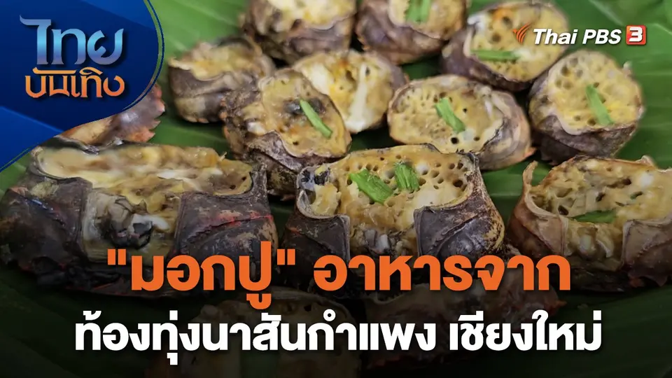 อิ่มมนต์รส : "มอกปู" อาหารจากท้องทุ่งนาสันกำแพง เชียงใหม่
