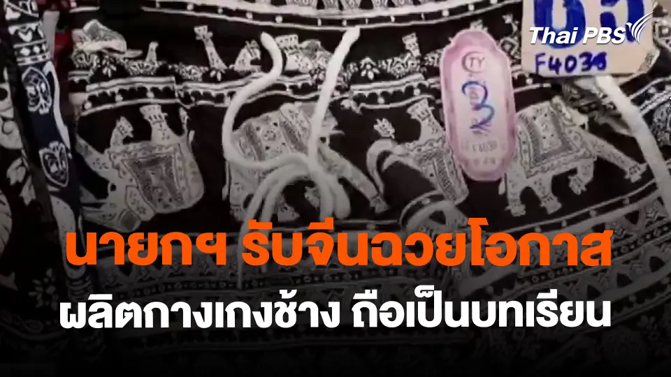 ​นายกฯ รับจีนฉวยโอกาส ผลิตกางเกงช้าง ถือเป็นบทเรียน
