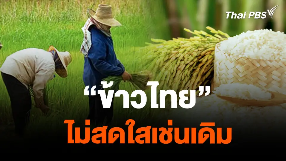 จับสัญญานเศรษฐกิจ : "ข้าวไทย" ไม่สดใสเช่นเดิม