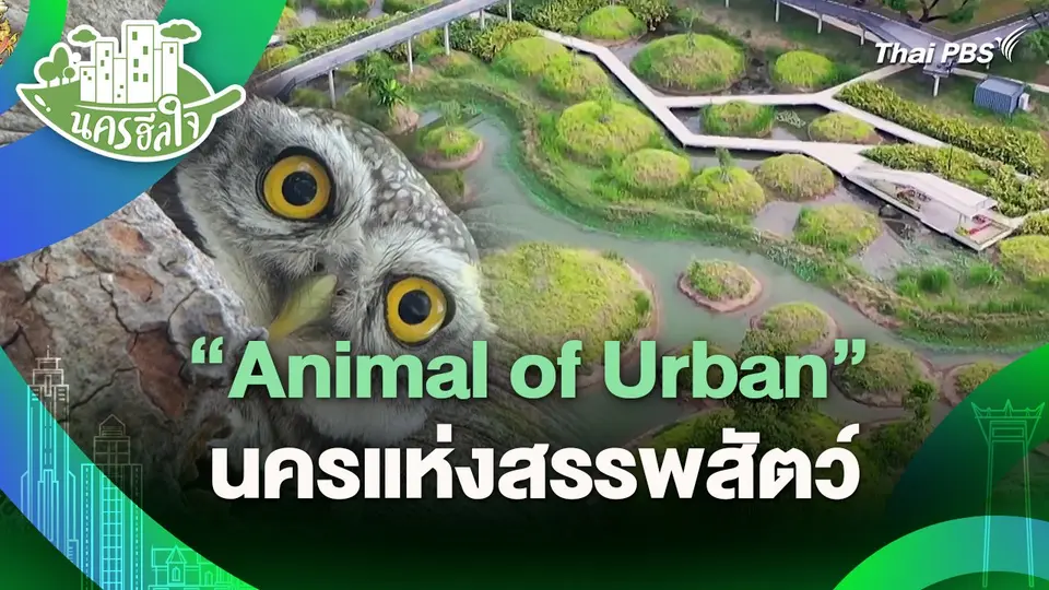 นครฮีลใจ : "Animal of Urban" นครแห่งสรรพสัตว์