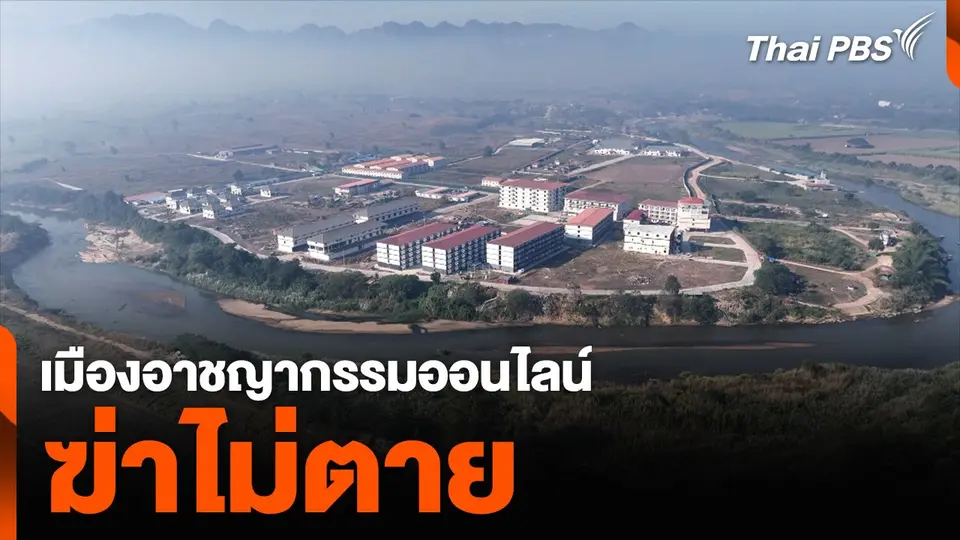 เมืองอาชญากรรมออนไลน์ ฆ่าไม่ตาย