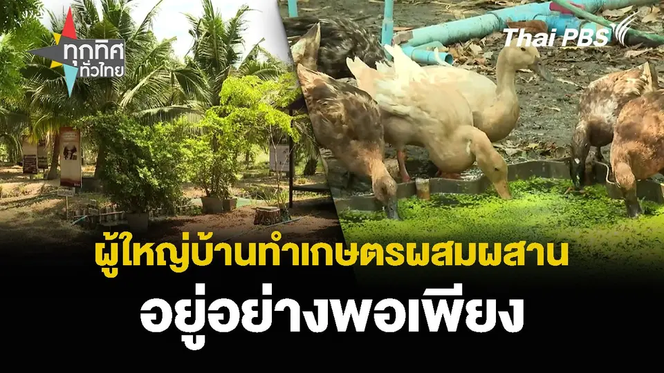 ผู้ใหญ่บ้านทำเกษตรผสมผสาน อยู่อย่างพอเพียง