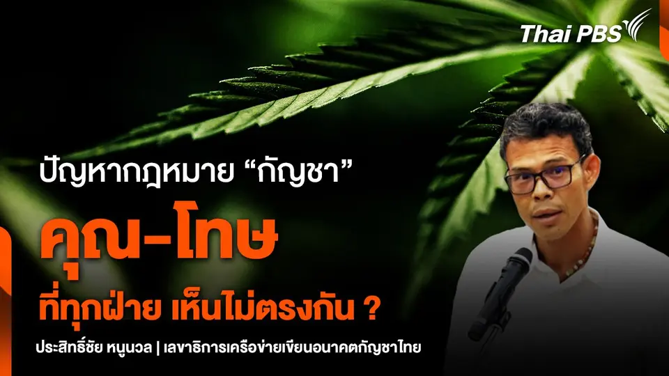 ปัญหากฎหมาย “กัญชา”  คุณ-โทษ ที่ทุกฝ่าย เห็นไม่ตรงกัน ?