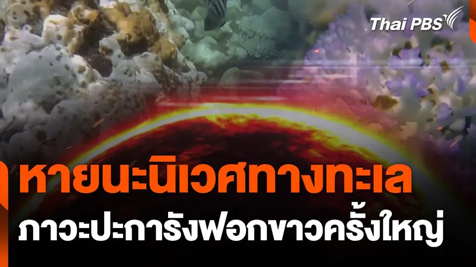 ซีรีส์โลกเดือด ตอน หายนะนิเวศทางทะเล