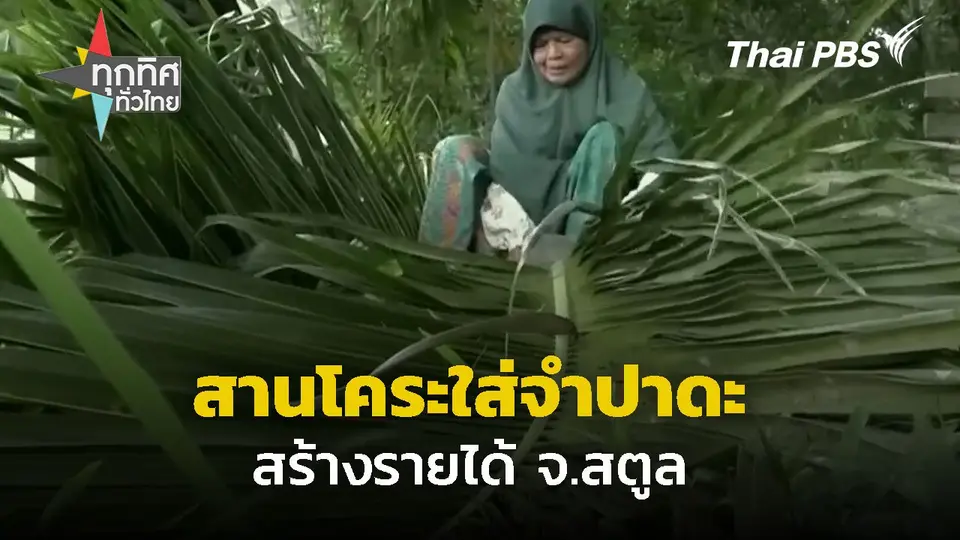 เร่งสานโคระใส่จำปาดะ จ.สตูล
