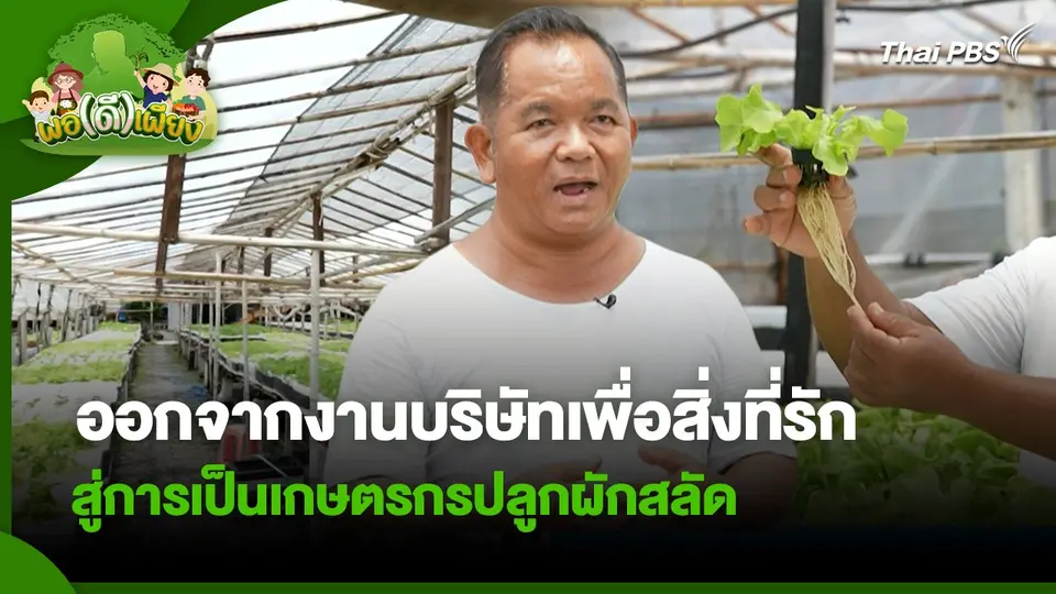 พอดีพอเพียง : ออกจากงานบริษัทเพื่อสิ่งที่รัก สู่การเป็นเกษตรกรปลูกผักสลัด