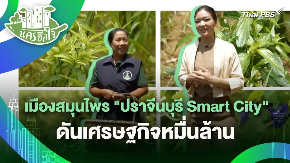 นครฮีลใจ : เมืองสมุนไพร "ปราจีนบุรี Smart City" ดันเศรษฐกิจหมื่นล้าน