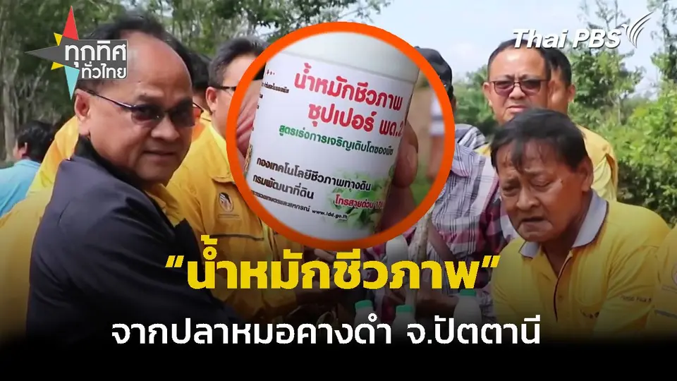 น้ำหมักชีวภาพปลาหมอคางดำ จ.ปัตตานี