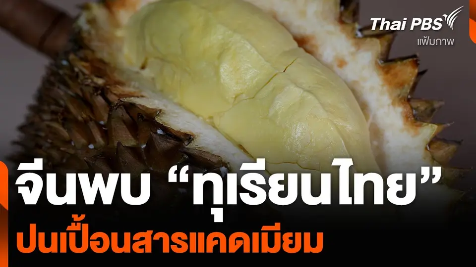 จีนพบ “ทุเรียนไทย” ปนเปื้อนสารแคดเมียม
