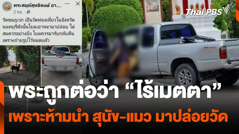 พระถูกต่อว่า “ไร้เมตตา” เพราะห้ามนำ สุนัข-แมว มาปล่อยวัด