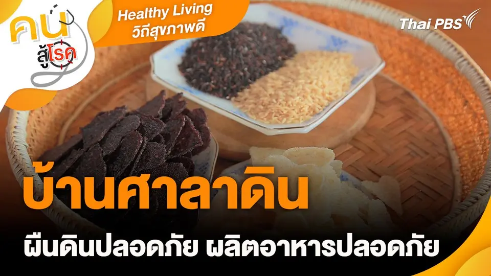 Healthy Living วิถีสุขภาพดี : บ้านศาลาดิน ผืนดินปลอดภัย ผลิตอาหารปลอดภัย
