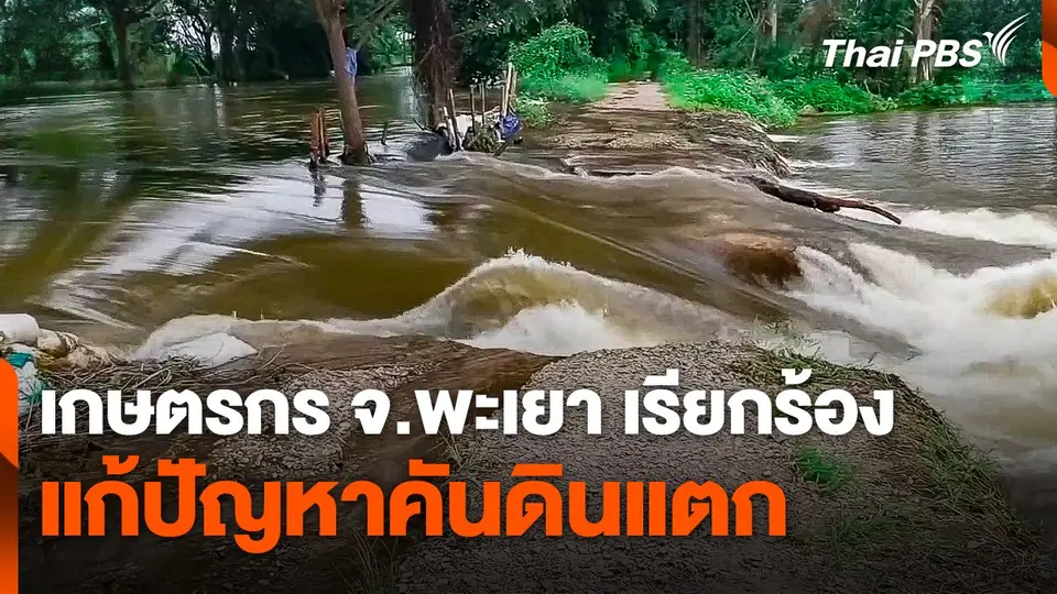 เกษตรกร จ.พะเยา เรียกร้องแก้ปัญหาคันดินแตก
