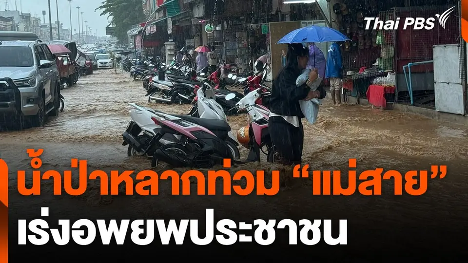 "แม่สาย" น้ำป่าหลากท่วมเมือง-เร่งอพยพประชาชน