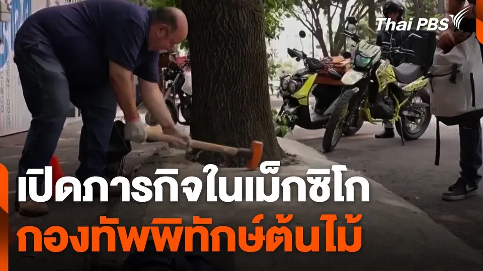กองทัพพิทักษ์ต้นไม้เม็กซิโก