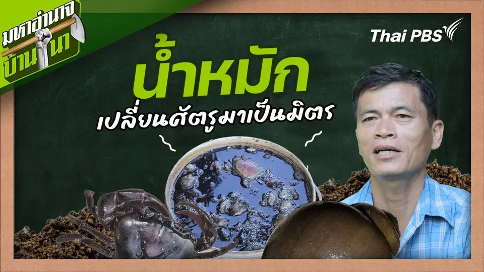 สูตรลับฉบับบ้านนา : น้ำหมักเปลี่ยนศัตรูมาเป็นมิตร