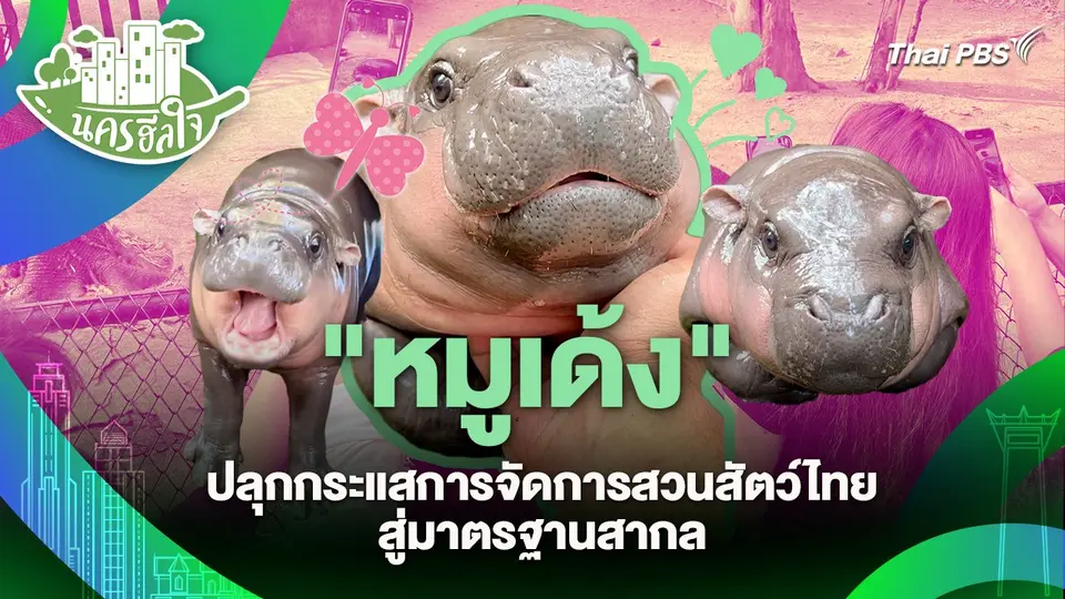 นครฮีลใจ : "หมูเด้ง" ปลุกกระแสการจัดการสวนสัตว์ไทยสู่มาตรฐานสากล