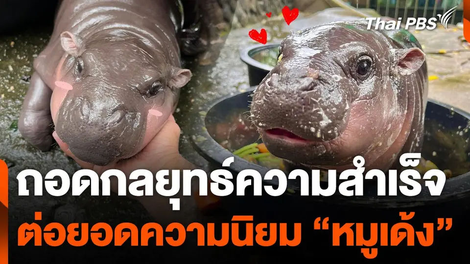 ถอดกลยุทธ์ความสำเร็จต่อยอดความนิยม "หมูเด้ง"