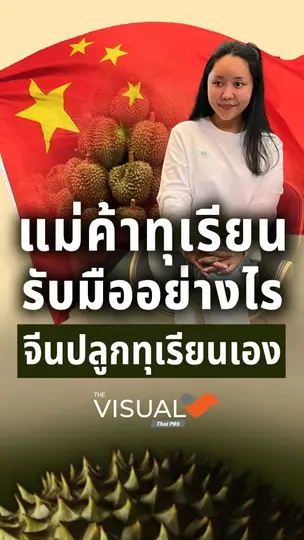 แม่ค้าทุเรียนรับมืออย่างไร หากจีนปลูกทุเรียนเอง ?