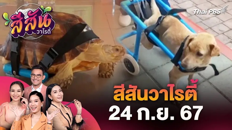 สีสันวาไรตี้ (24 ก.ย. 67)