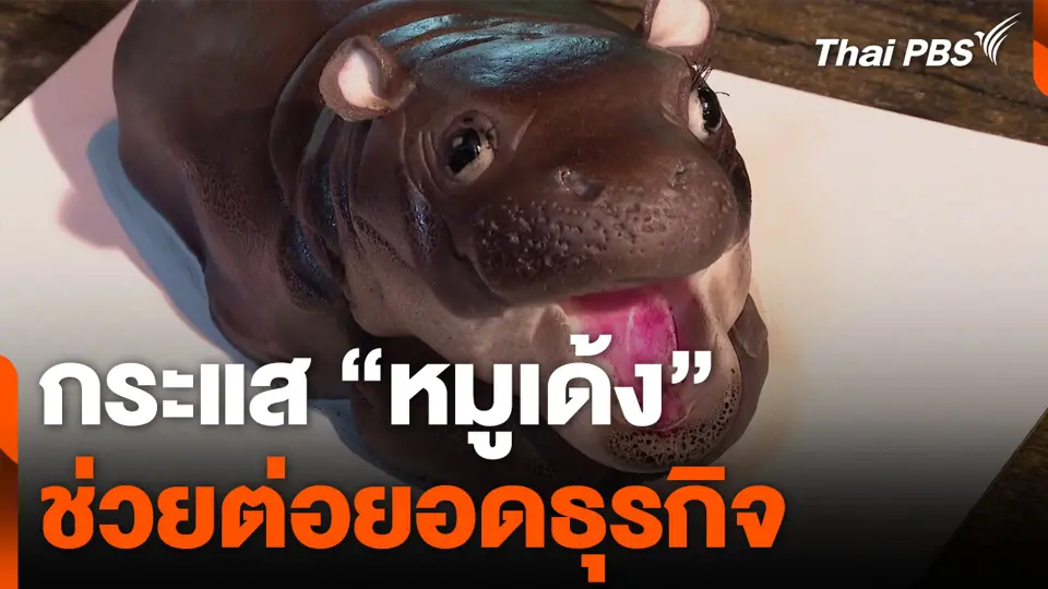 กระแส "หมูเด้ง" ช่วยต่อยอดธุรกิจ