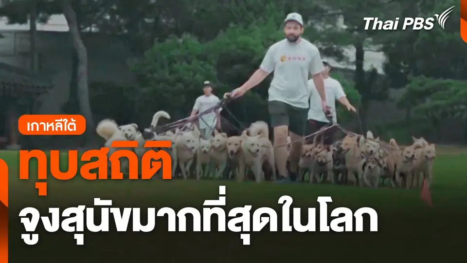 ทุบสถิติจูงสุนัขมากที่สุดในโลกที่เกาหลีใต้