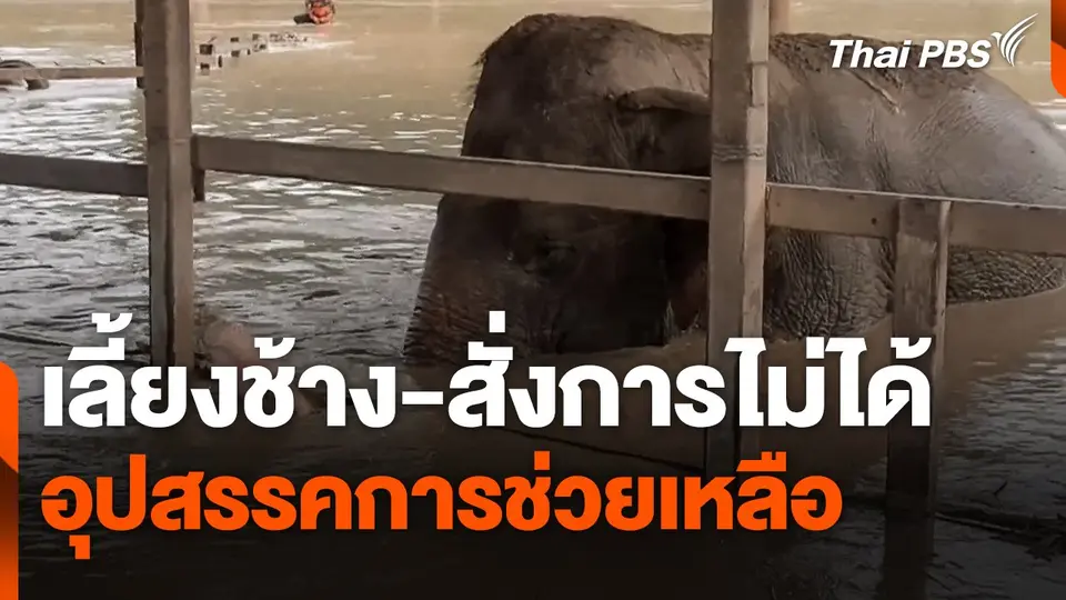 ถอดบทเรียน "เลี้ยงช้าง-สั่งการไม่ได้" อุปสรรคการช่วยเหลือ