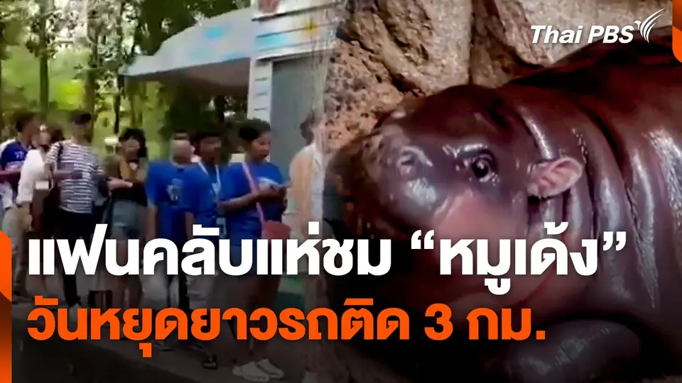 แฟนคลับแห่ชม "หมูเด้ง" วันหยุดยาวรถติด 3 กม.