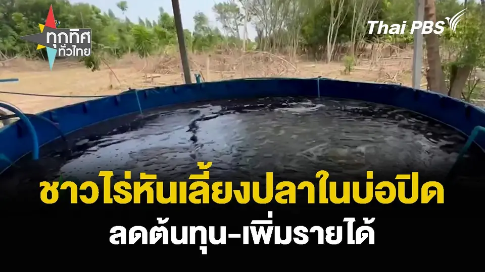 ชาวไร่หันเลี้ยงปลาในบ่อปิด ลดต้นทุน-เพิ่มรายได้
