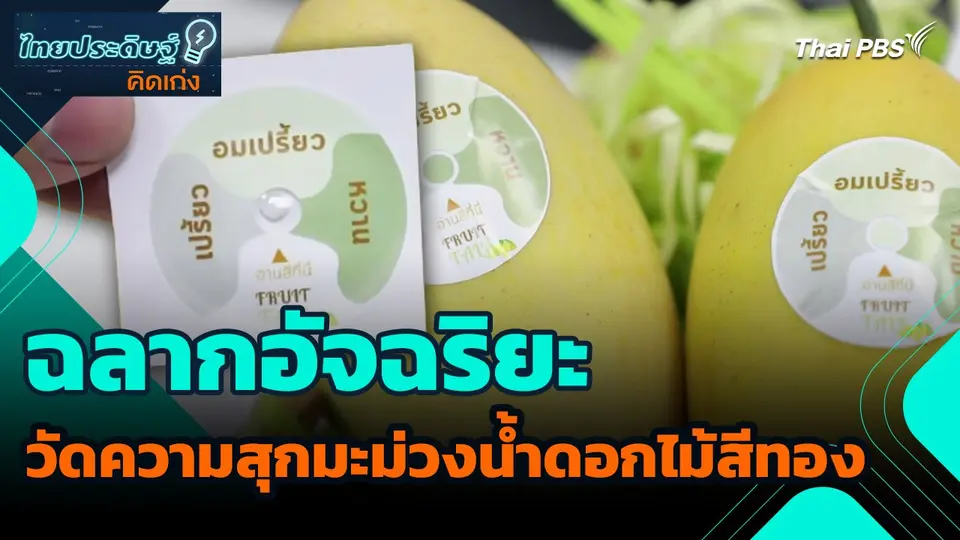 ไทยประดิษฐ์คิดเก่ง : ฉลากอัจฉริยะวัดความสุกมะม่วงน้ำดอกไม้สีทอง