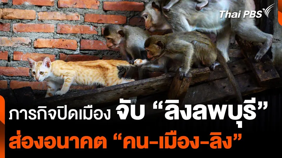 ภารกิจปิดเมือง จับ ลิงลพบุรี ส่องอนาคต คน-เมือง-ลิง.mp4