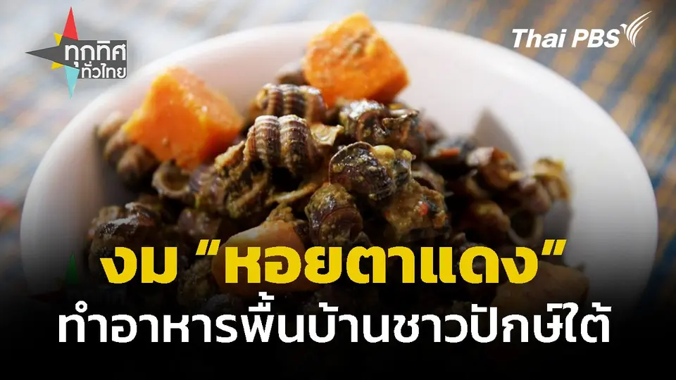 วิถีชุมชนปักษ์ใต้ หา "หอยตาแดง" ทำอาหารพื้นบ้าน จ.สตูล
