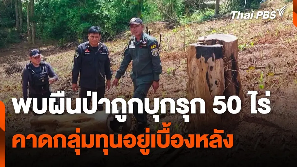 พบผืนป่าถูกบุกรุก 50 ไร่ คาดกลุ่มทุนอยู่เบื้องหลัง