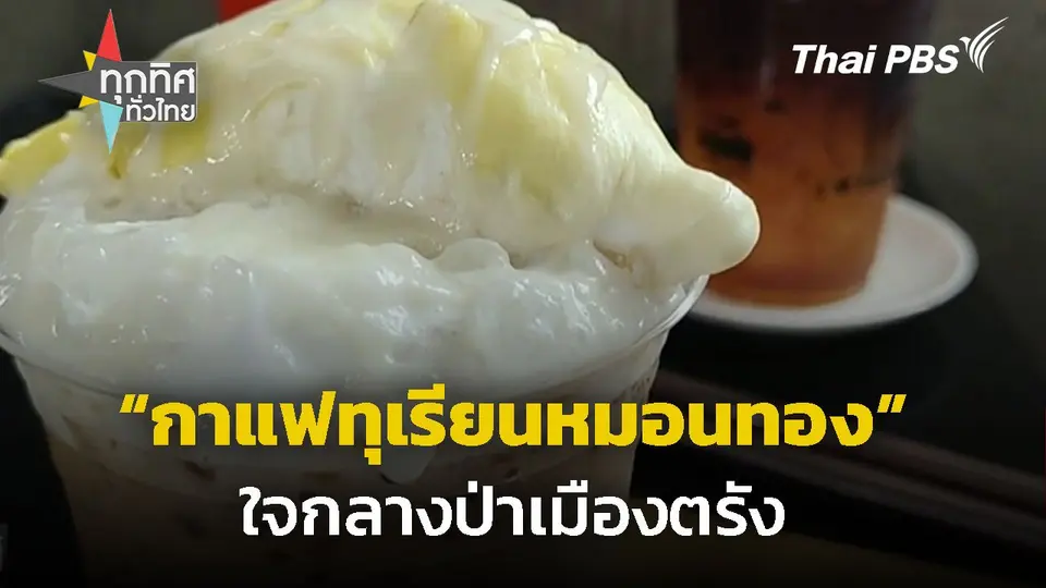 จิบกาแฟทุเรียนหมอนทองกลางป่าเมืองตรัง