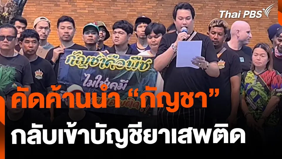 คัดค้านนำ "กัญชา" กลับมาเป็นยาเสพติด