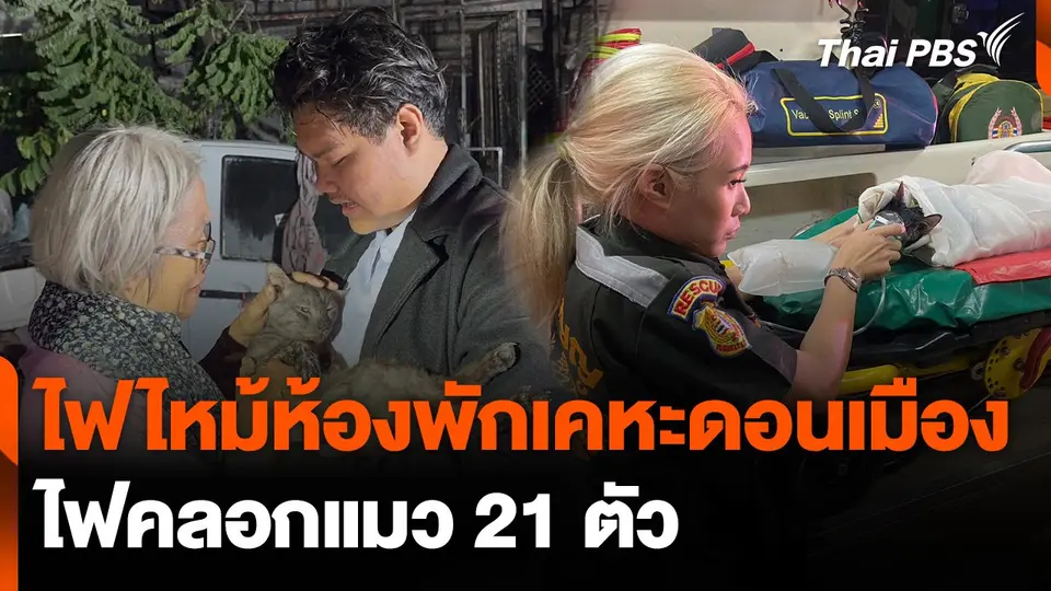ไฟไหม้ห้องพักเคหะดอนเมือง ไฟคลอกแมวตาย 21 ตัว