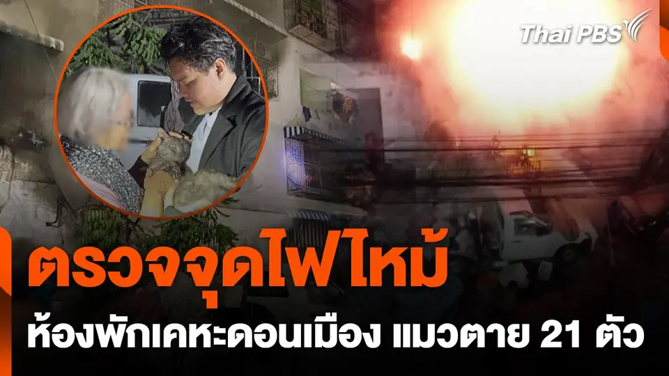 ตรวจจุดไฟไหม้ห้องพักเคหะดอนเมือง แมวตาย 21 ตัว