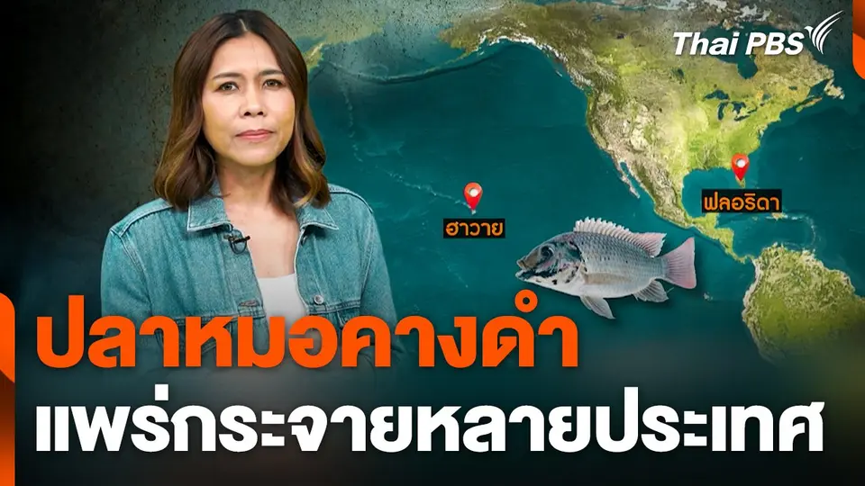 "ปลาหมอคางดำ" แพร่กระจายหลายประเทศ