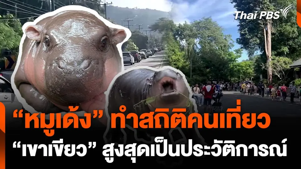 "หมูเด้ง" ทำสถิติคนเที่ยว "เขาเขียว" สูงสุดเป็นประวัติการณ์