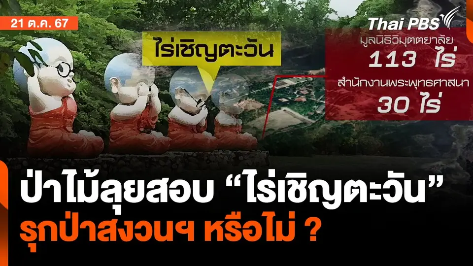 ป่าไม้ลุยสอบ "ไร่เชิญตะวัน" รุกป่าสงวนฯ หรือไม่ ?| จับตาสถานการณ์ | 21 ต.ค. 67