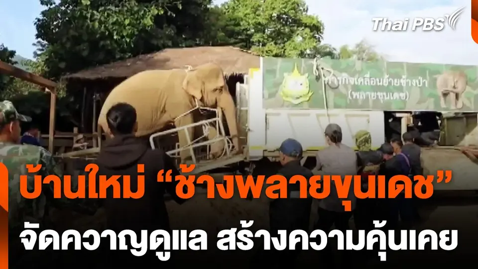 ช้างพลายขุนเดช เดินทางถึงสถาบันคชบาลแห่งชาติแล้ว