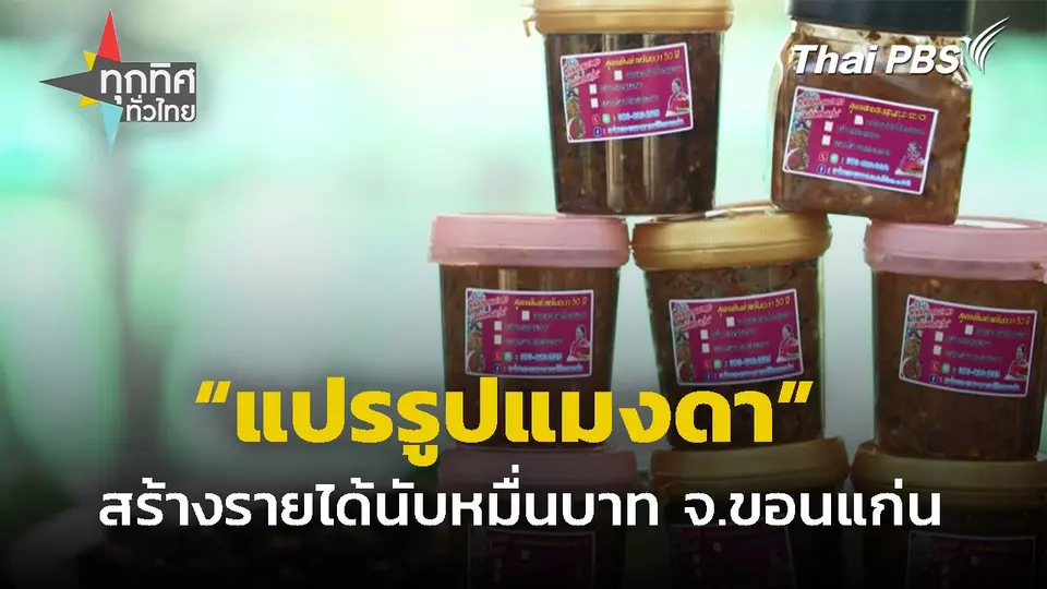 เลี้ยงแมงดาสร้างรายได้นับหมื่นบาท จ.ขอนแก่น