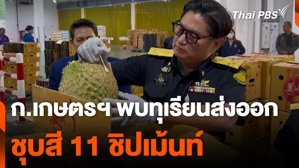 ก.เกษตรฯ พบ ทุเรียนส่งออก ชุบสี 11 ชิปเม้นท์