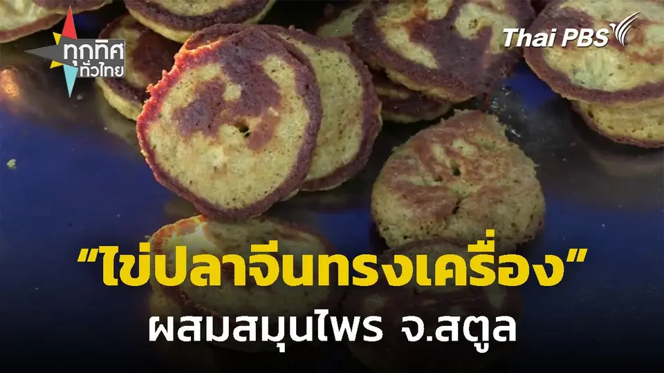 "ไข่ปลาจีน" ผสมเครื่องสมุนไพร จ.สตูล
